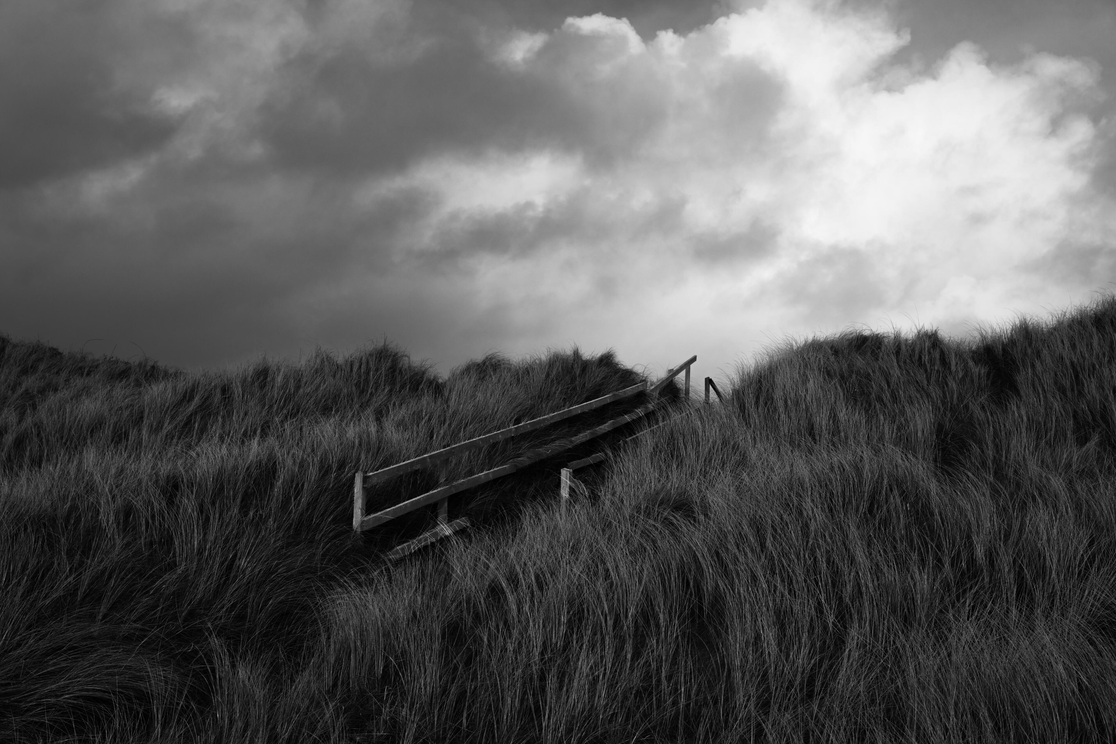 Crow Photography